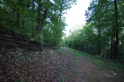 23 Long Lick Run Road Baker WV 26801