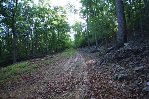 23 Long Lick Run Road Baker WV 26801
