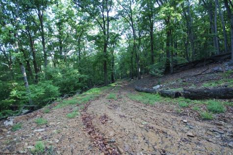 23 Long Lick Run Road Baker WV 26801