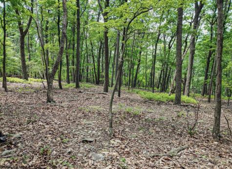 23 Long Lick Run Road Baker WV 26801