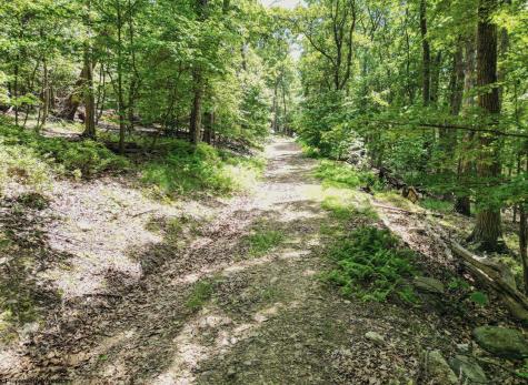 23 Long Lick Run Road Baker WV 26801