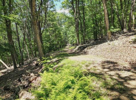 23 Long Lick Run Road Baker WV 26801