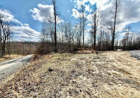 4 Brooklyn Way Moatsville WV 26405