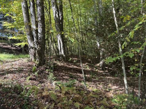 10 Copper Head Road Terra Alta WV 26764