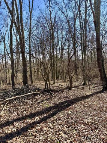 0 Pearcy Avenue Bridgeport WV 26330