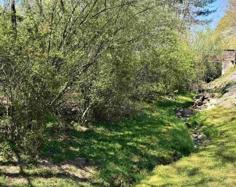 0 Pearcy Avenue Bridgeport WV 26330