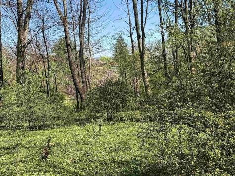 0 Pearcy Avenue Bridgeport WV 26330