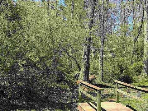 0 Pearcy Avenue Bridgeport WV 26330