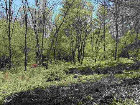 0 Pearcy Avenue Bridgeport WV 26330