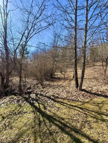 0 Pearcy Avenue Bridgeport WV 26330