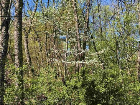 0 Pearcy Avenue Bridgeport WV 26330