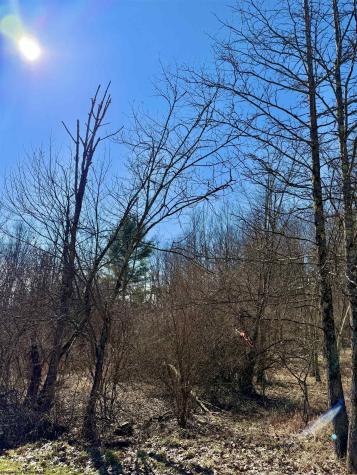 0 Pearcy Avenue Bridgeport WV 26330