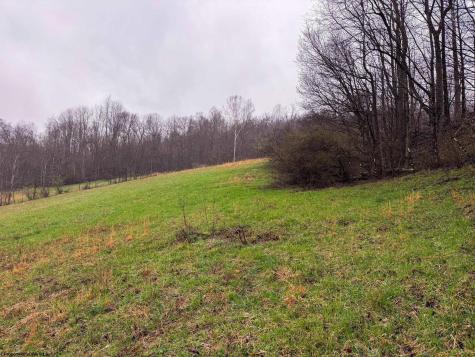 0 Bear Mountain Road Flemington WV 26347