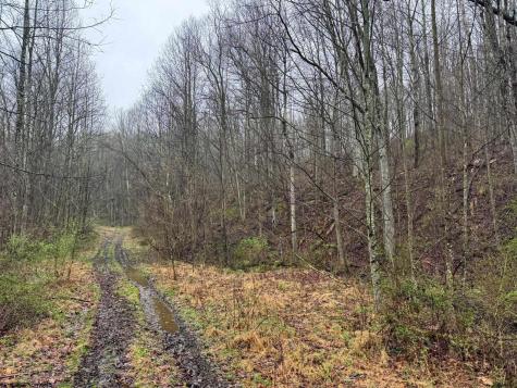 0 Bear Mountain Road Flemington WV 26347