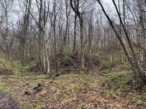 0 Bear Mountain Road Flemington WV 26347
