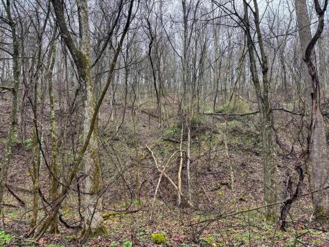0 Bear Mountain Road Flemington WV 26347