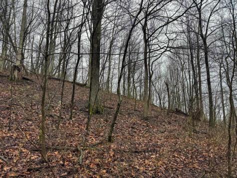 0 Bear Mountain Road Flemington WV 26347