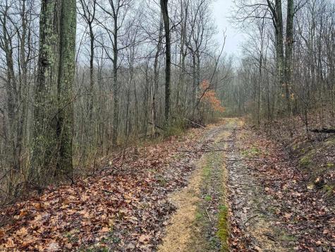 0 Bear Mountain Road Flemington WV 26347
