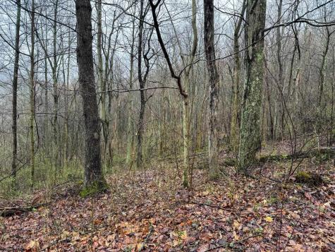 0 Bear Mountain Road Flemington WV 26347
