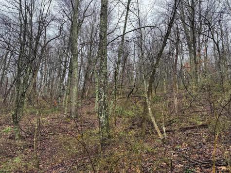 0 Bear Mountain Road Flemington WV 26347