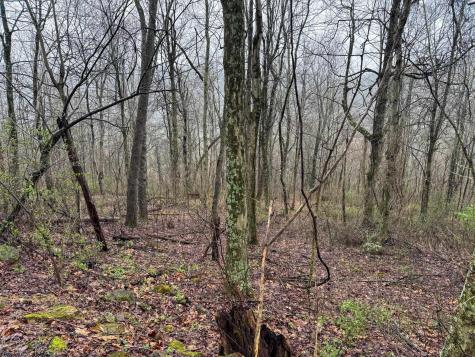 0 Bear Mountain Road Flemington WV 26347