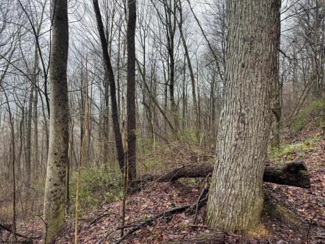 0 Bear Mountain Road Flemington WV 26347