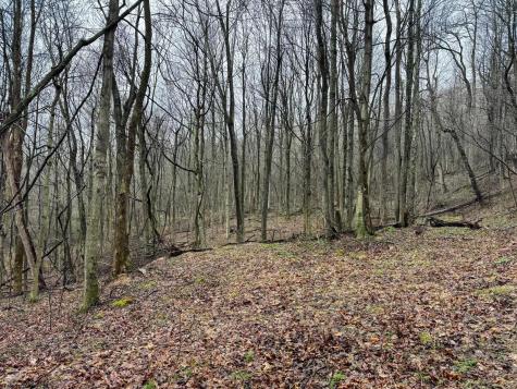0 Bear Mountain Road Flemington WV 26347