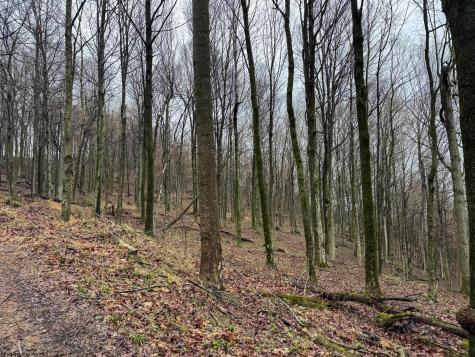 0 Bear Mountain Road Flemington WV 26347