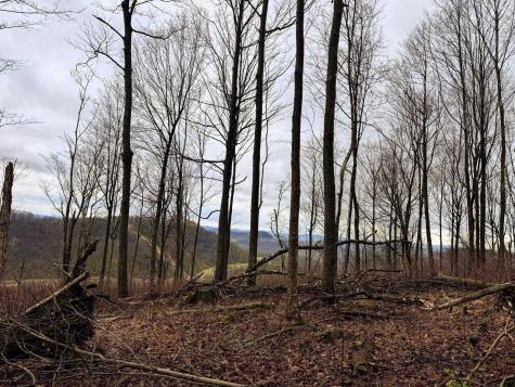 0 Bear Mountain Road Flemington WV 26347