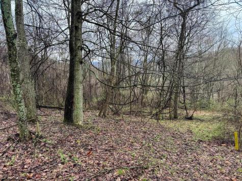 0 Bear Mountain Road Flemington WV 26347