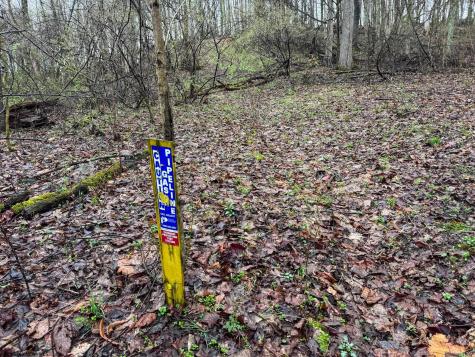 0 Bear Mountain Road Flemington WV 26347