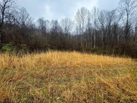 0 Bear Mountain Road Flemington WV 26347