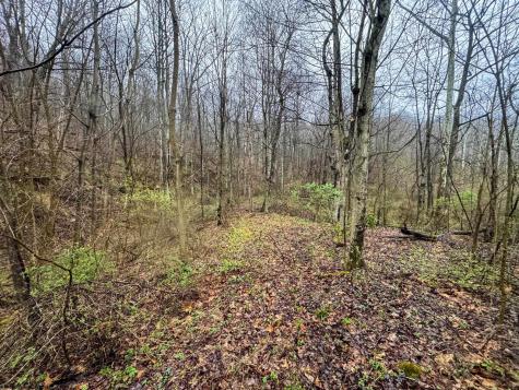 0 Bear Mountain Road Flemington WV 26347
