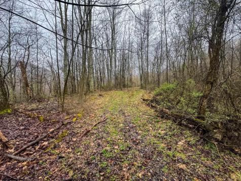 0 Bear Mountain Road Flemington WV 26347