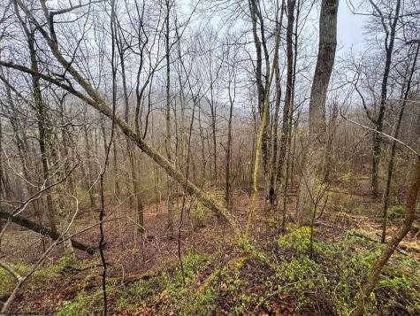 0 Bear Mountain Road Flemington WV 26347
