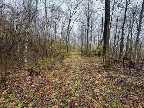 0 Bear Mountain Road Flemington WV 26347