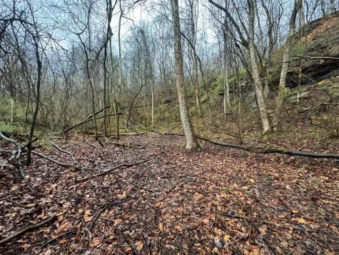 0 Bear Mountain Road Flemington WV 26347