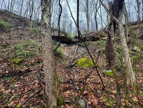 0 Bear Mountain Road Flemington WV 26347