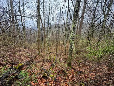 0 Bear Mountain Road Flemington WV 26347