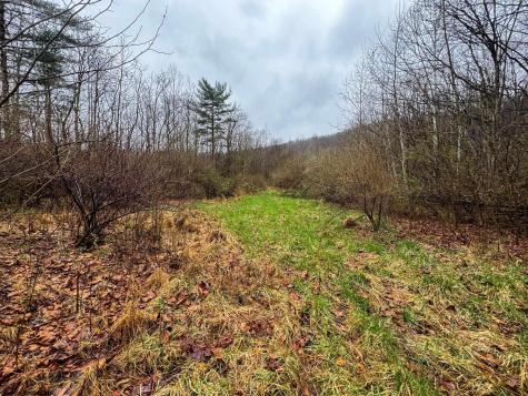 0 Bear Mountain Road Flemington WV 26347