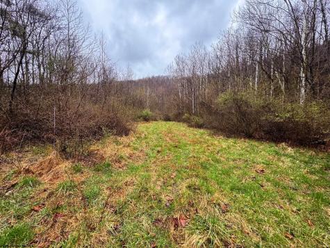 0 Bear Mountain Road Flemington WV 26347