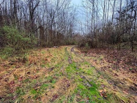 0 Bear Mountain Road Flemington WV 26347