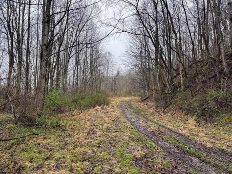 0 Bear Mountain Road Flemington WV 26347
