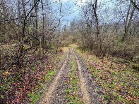 0 Bear Mountain Road Flemington WV 26347