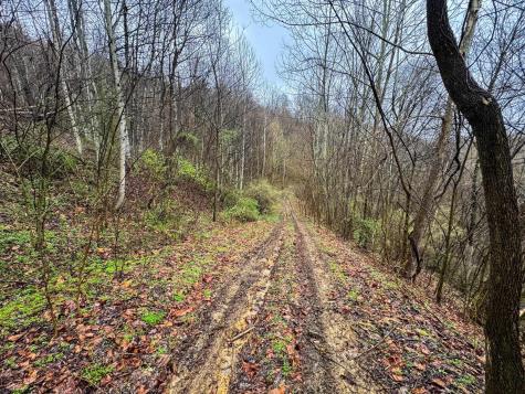 0 Bear Mountain Road Flemington WV 26347