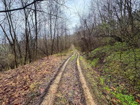 0 Bear Mountain Road Flemington WV 26347