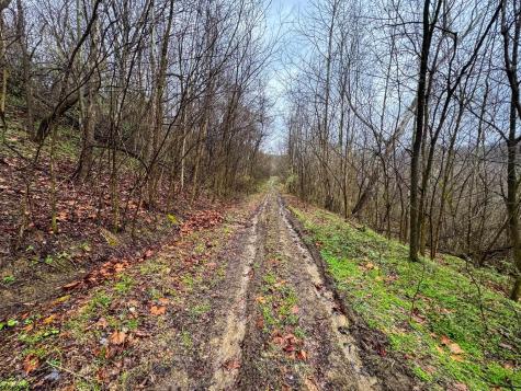 0 Bear Mountain Road Flemington WV 26347
