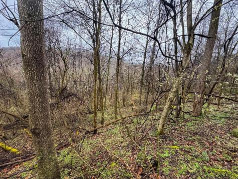 0 Bear Mountain Road Flemington WV 26347