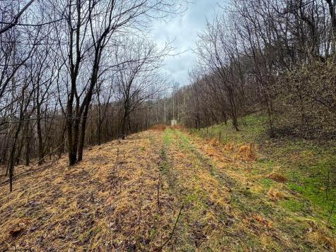 0 Bear Mountain Road Flemington WV 26347