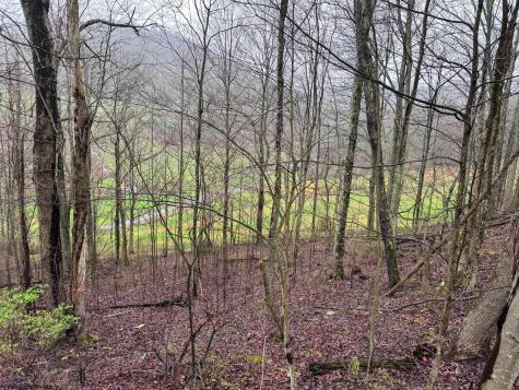 0 Bear Mountain Road Flemington WV 26347